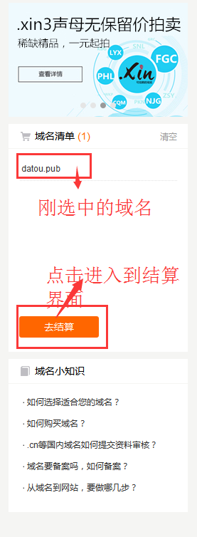 如何選擇并購買域名