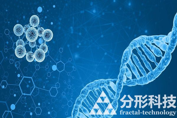 醫(yī)院網(wǎng)站建設(shè)：打造醫(yī)院與患者的無縫連接